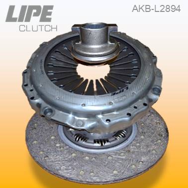 AKB-L2894