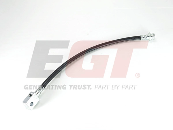 390205EGT