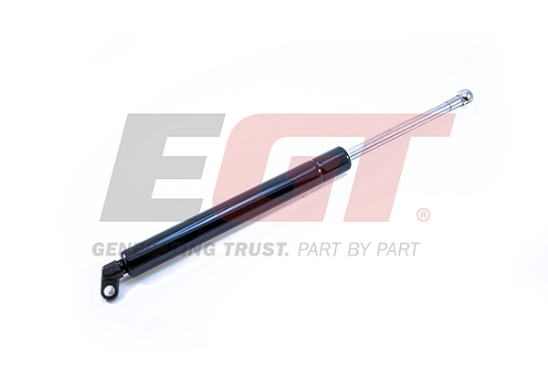 510199EGT