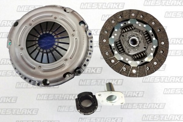 WMB019