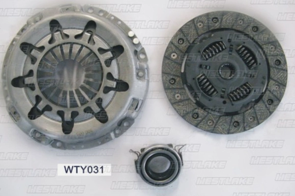 WTY031