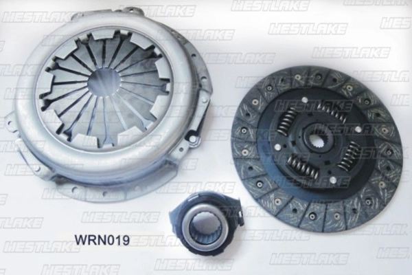 WRN019