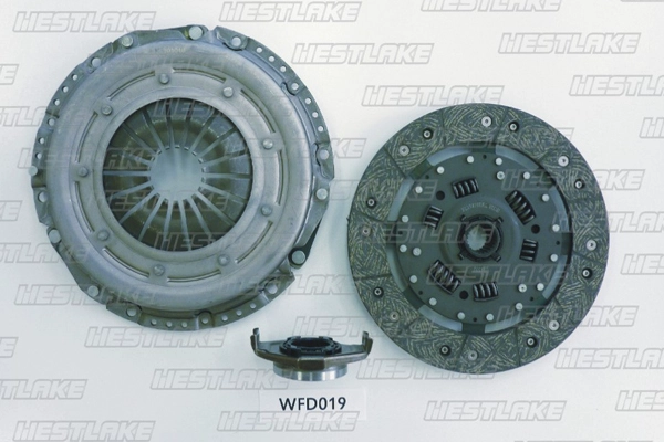 WFD019