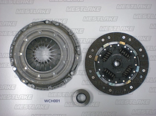 WCH001