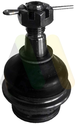 LVSJ1207