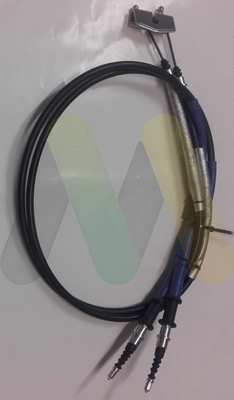 LVVB1662