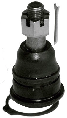 LVSJ779