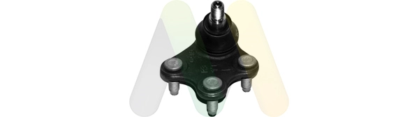 LVSJ1179