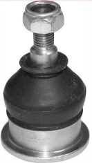 LVSJ1202