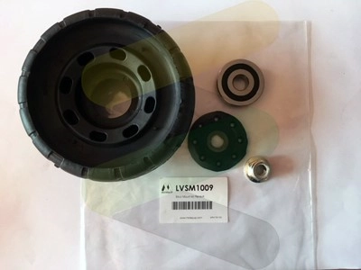 LVSM1009