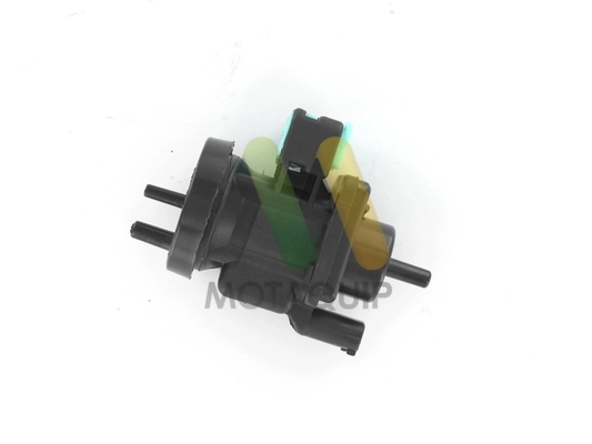 LVEV146