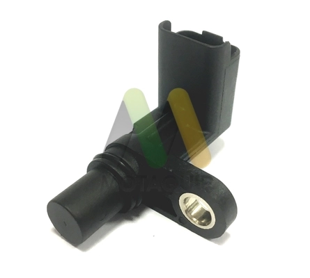 LVCP313