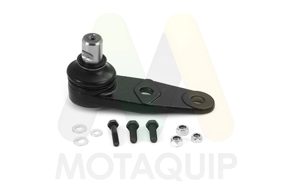 VSJ1004