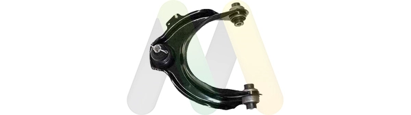 LVSA1701