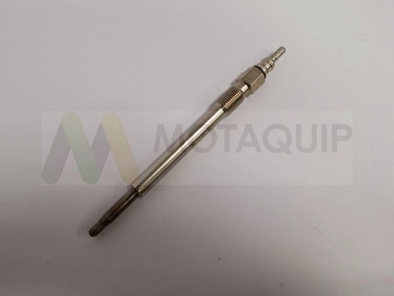 LVGP319