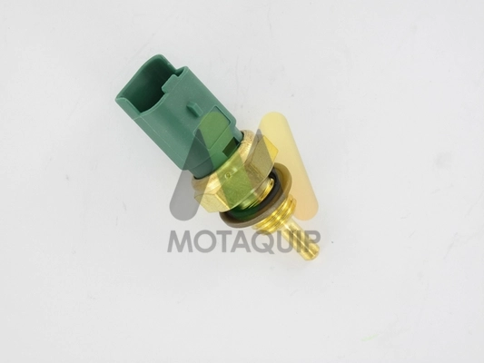 VCT119