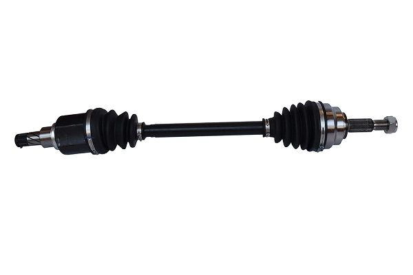 24856