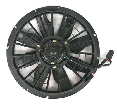 EVO025