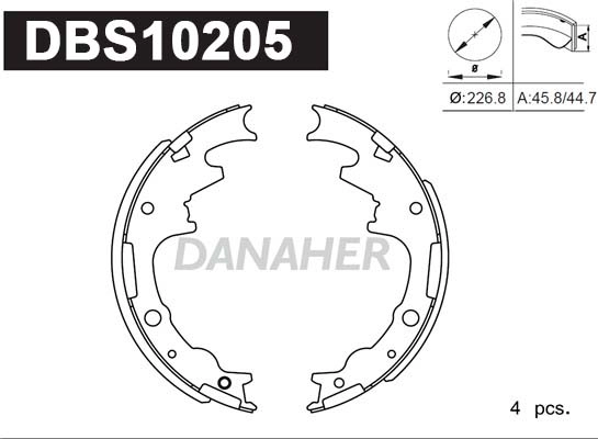 DBS10205
