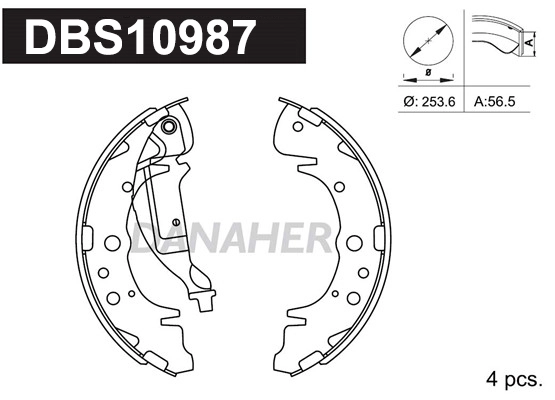 DBS10987