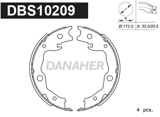 DBS10209
