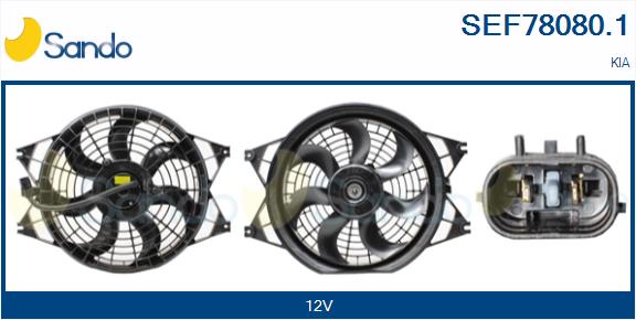 SEF78080.1