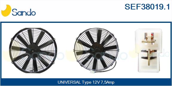 SEF38019.1