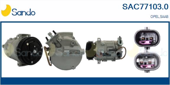 SAC77103.0