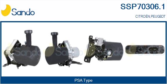 SSP70306.1