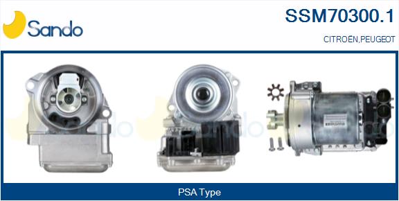 SSM70300.1