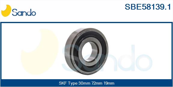 SBE58139.1