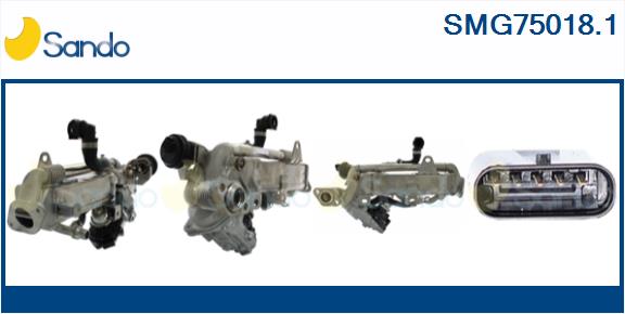 SMG75018.1