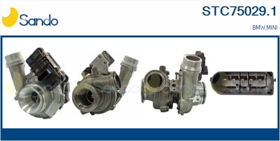STC75029.1