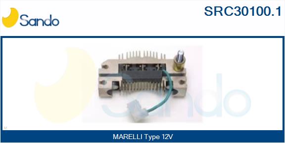 SRC30100.1