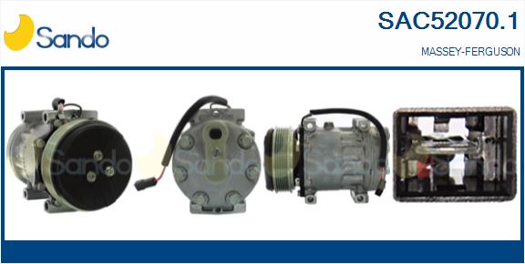 SAC52070.1
