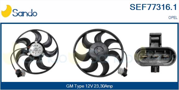 SEF77316.1