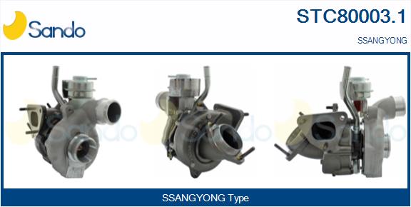 STC80003.1