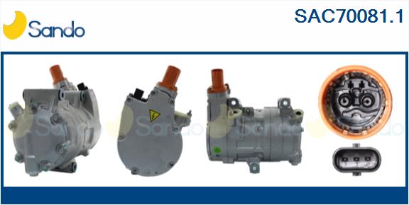 SAC70081.1