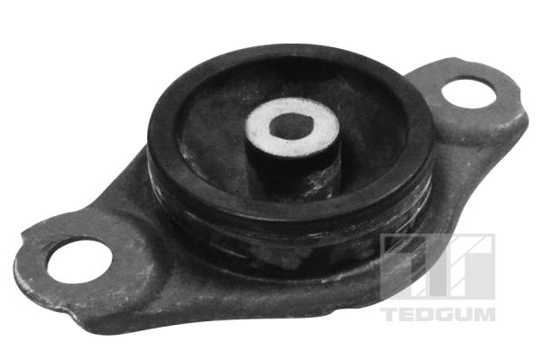 TED58229