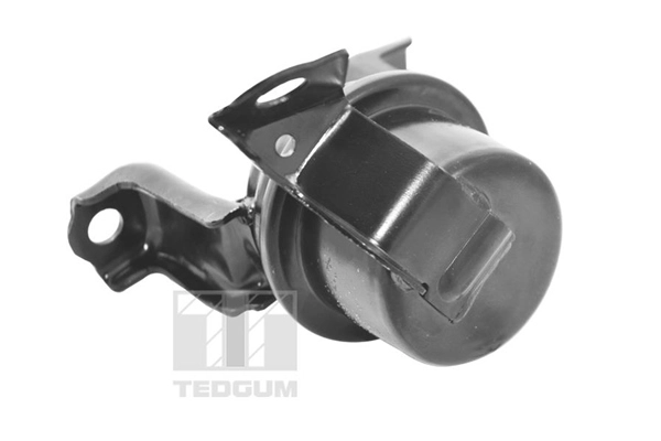 TED11362