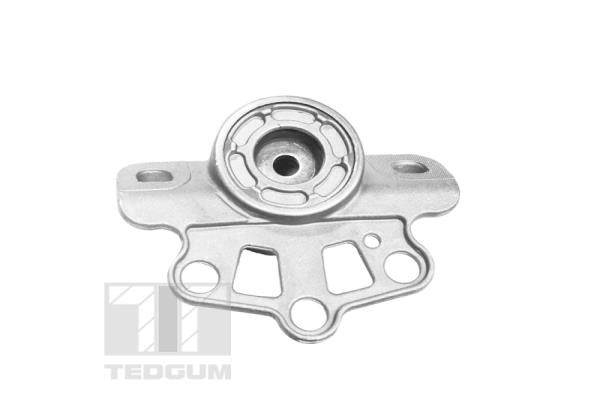 TED51736