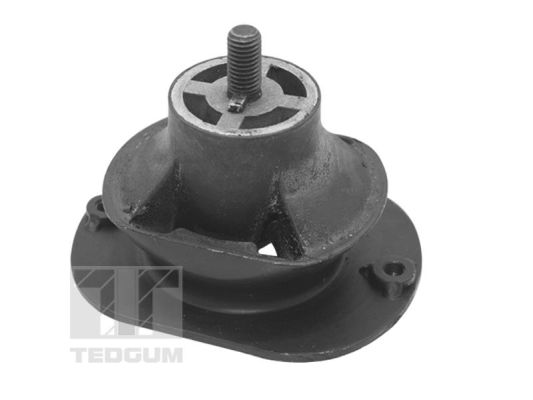 TED40521