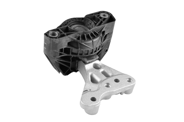 TED36970