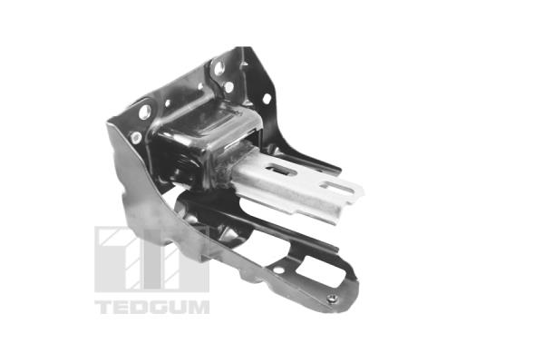 TED40990