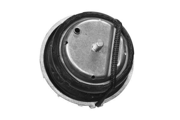 TED46098