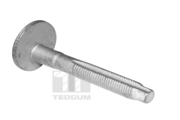 TED39597