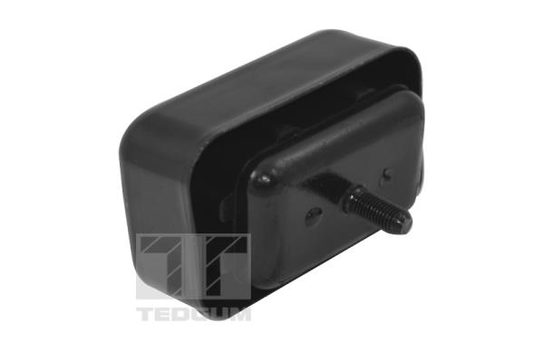 TED41316