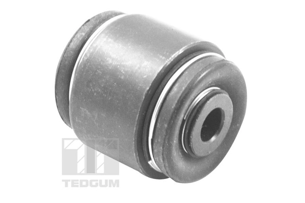 TED48244