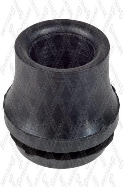 11-25462-SX