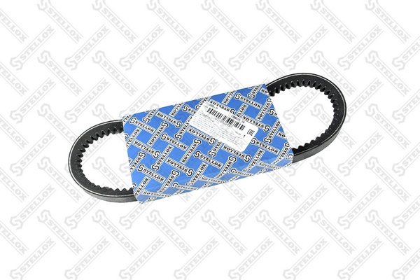 2521241310